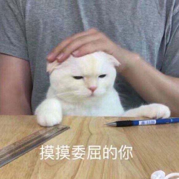 轻松一刻:榜一上头大哥约女主播,疯狂试探女子下限 轻松一刻:榜一上头大哥约女主播,疯狂试探女子下限