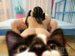 一个萌萌哒的肥猫。