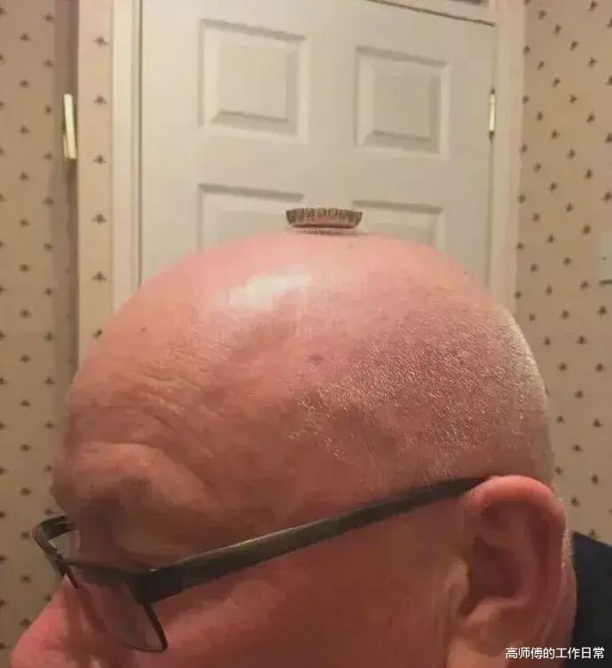 “妹子心有点大了,这被别人盯了一路,太尴尬了!” “妹子心有点大了,这被别人盯了一路,太尴尬了!”