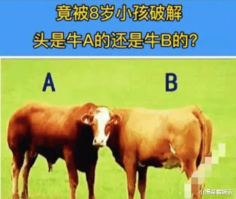 神评爆笑合集:90后夫妻一周6次“857”,不幸离世,神评才是亮点 神评爆笑合集:90后夫妻一周6次“857”,不幸离世,神评才是亮点