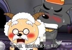 灰太狼 你这样做 红太狼知道么