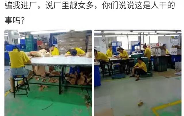 “骗我进厂,说厂子里靓女多,你们看看这是人干的事吗?”哈哈哈 “骗我进厂,说厂子里靓女多,你们看看这是人干的事吗?”哈哈哈
