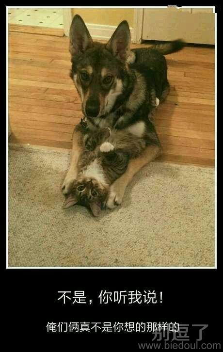 俺们俩真的不是你想的那样