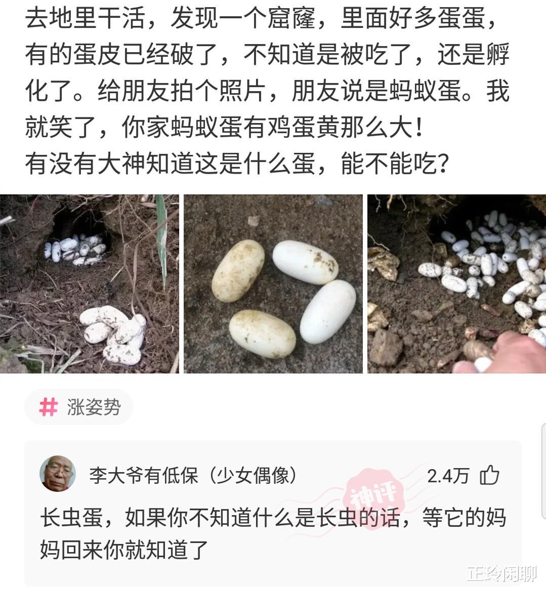 “在江边捡到的宝贝，够我换一套房吗？”哈哈哈哈哈