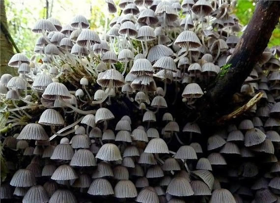 世界经典奇观-开阔你的视野