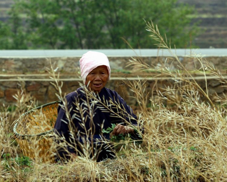在旱灾下生活的人们