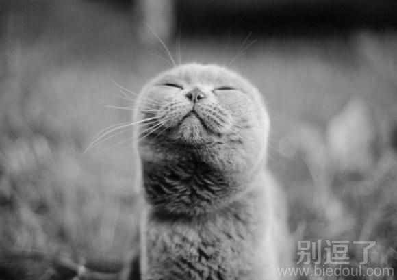 圆圆的脑袋真可爱！