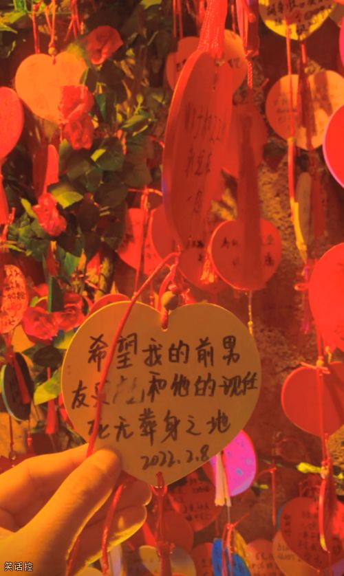 名字缩写为sb的这位男士，你的前女友隔空给你发新年祝福了。