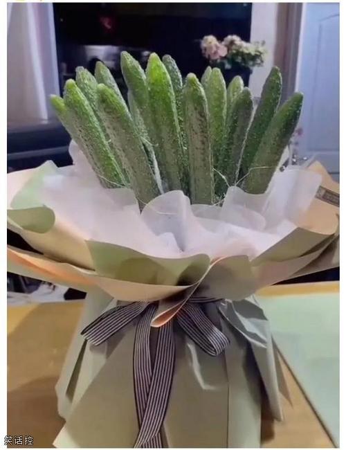 女生收到这样的花会开心吗