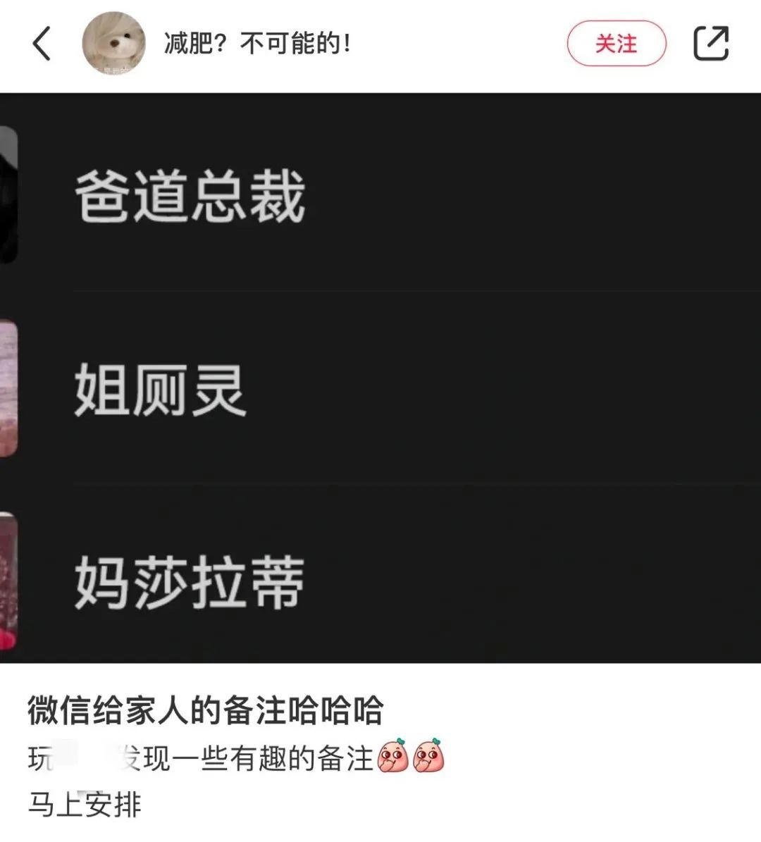 大侠后宫：“搞笑女是如何自断爱情路的？？”哈哈哈哈哈纯纯笑不活了！