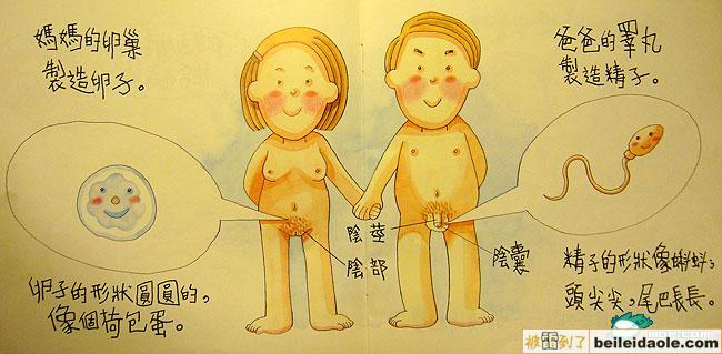超雷人的幼儿园性启蒙图册