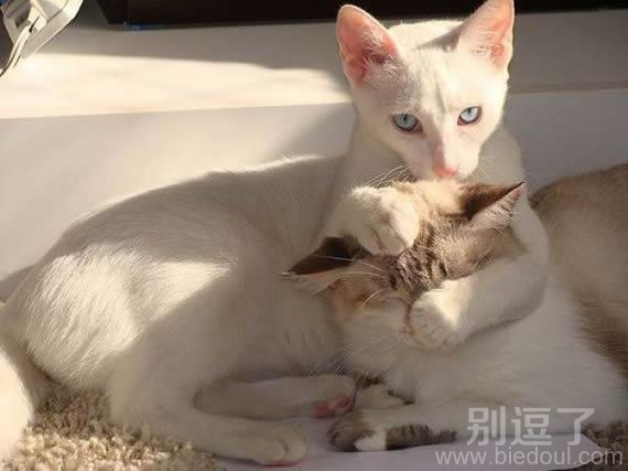 不许看别的女生,你是我的 不许看别的女生,你是我的