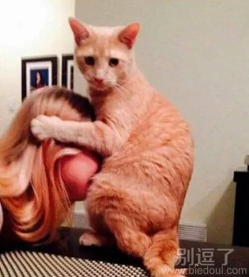 你俩是在做什么呀 你俩是在做什么呀