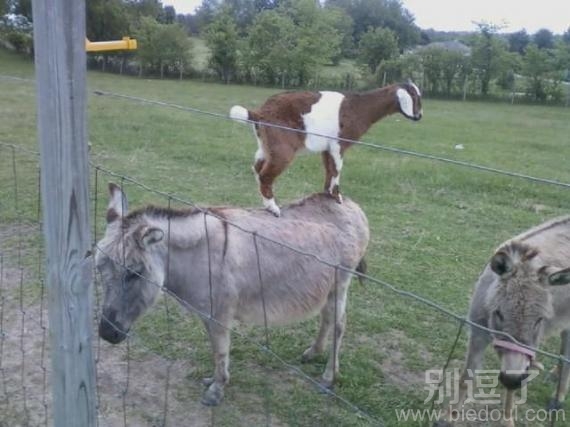 帮我逃出去吧，加油。