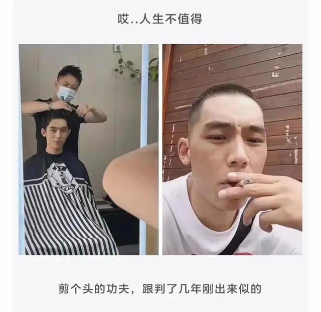 神回复:孙悟空为什么没被神仙收去当坐骑?神评绝了,我被笑抽了 神回复:孙悟空为什么没被神仙收去当坐骑?神评绝了,我被笑抽了