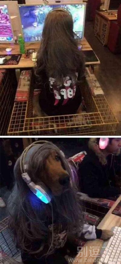 一个单身的妹子。。 一个单身的妹子。。