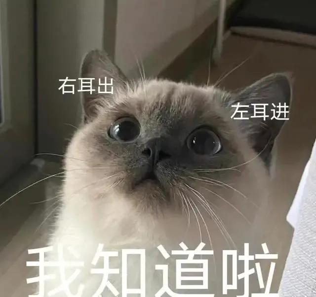 可可爱爱表情包