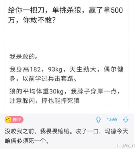 神回复:异地恋除了聊天还能干什么?神评没毛病,我学会了 神回复:异地恋除了聊天还能干什么?神评没毛病,我学会了