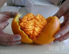 一个脑仁壳的橘子。。