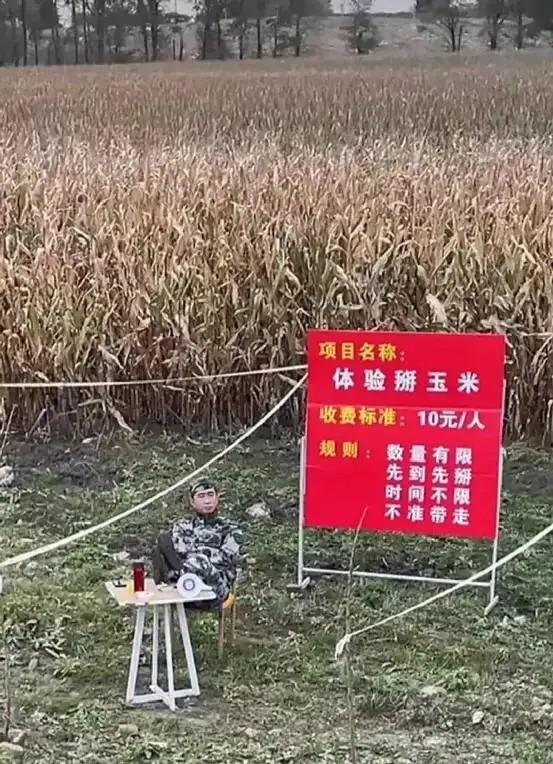 女网友来我家洗了一次澡，看着地面的场景，我陷入了沉思哈哈哈哈