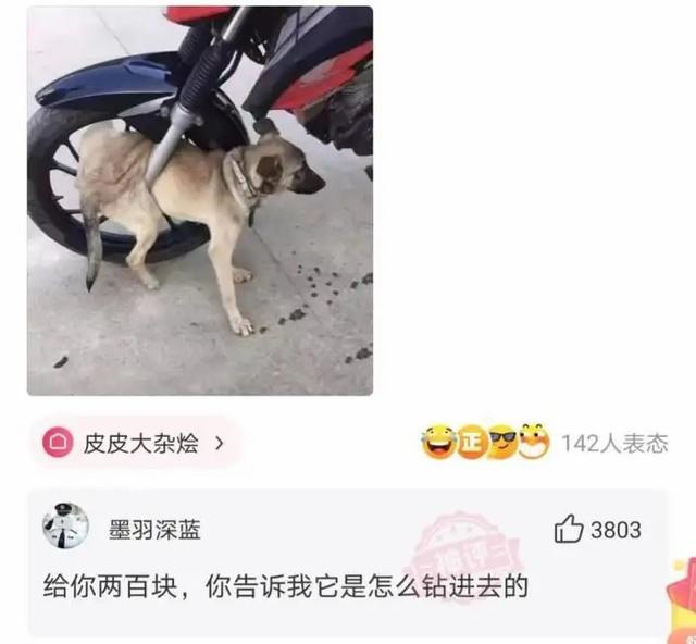 女网友来我家洗了一次澡，看着地面的场景，我陷入了沉思哈哈哈哈