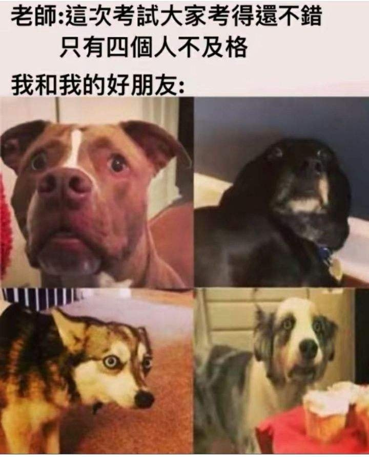 轻松一刻:二月二,给我来套一条龙服务! 轻松一刻:二月二,给我来套一条龙服务!