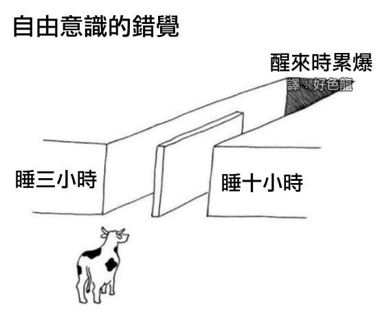 轻松一刻：二月二，给我来套一条龙服务！