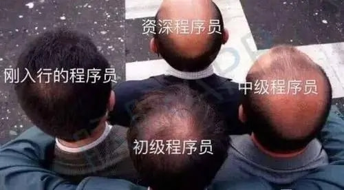 轻松一刻：二月二，给我来套一条龙服务！