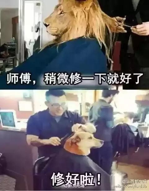 轻松一刻:二月二,给我来套一条龙服务! 轻松一刻:二月二,给我来套一条龙服务!