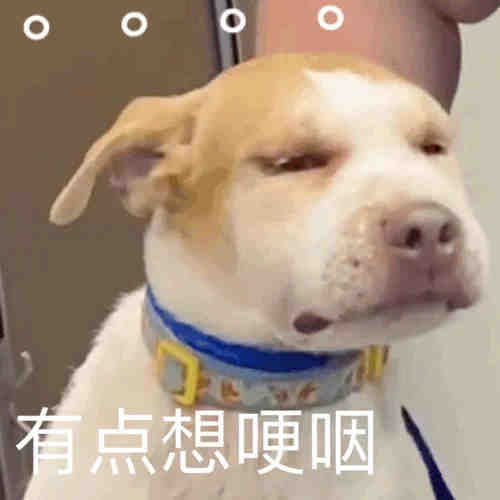 轻松一刻:弱智吧真是人才辈出啊…… 轻松一刻:弱智吧真是人才辈出啊……