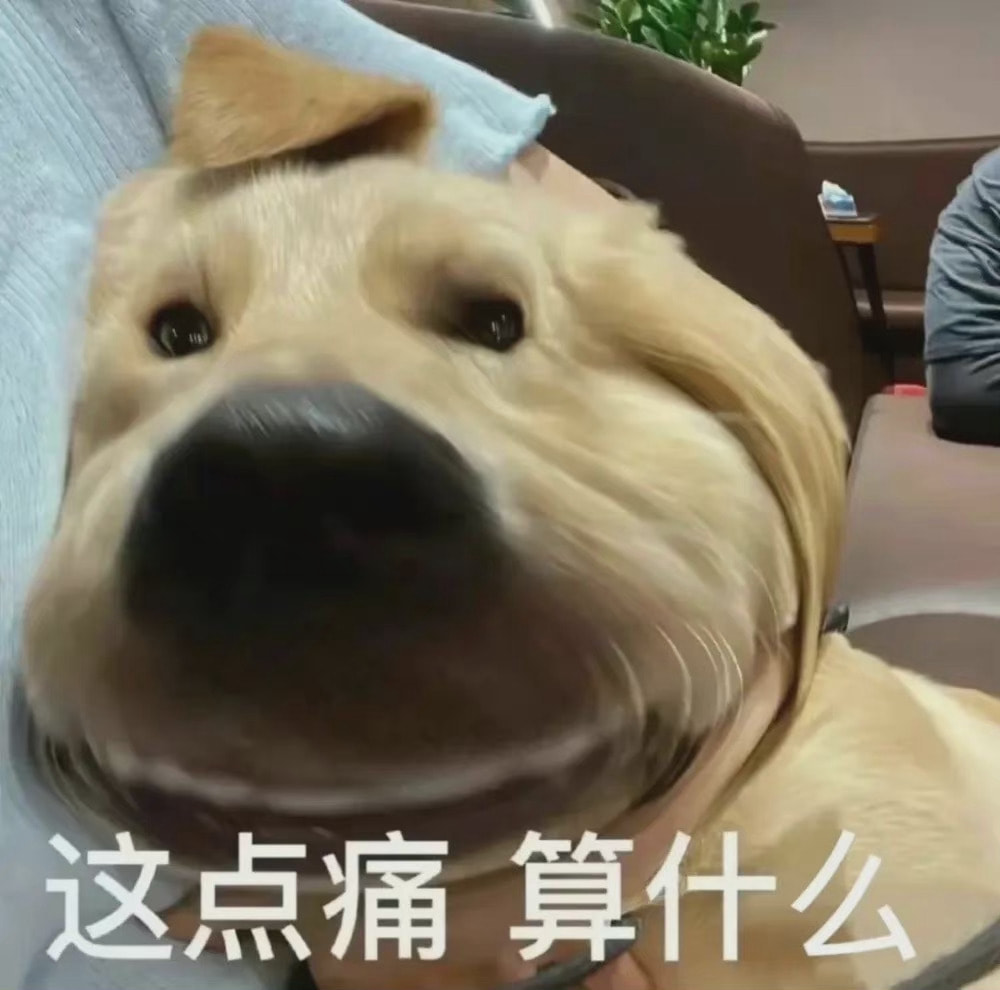 轻松一刻:弱智吧真是人才辈出啊…… 轻松一刻:弱智吧真是人才辈出啊……