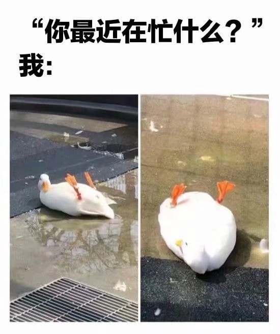 轻松一刻:弱智吧真是人才辈出啊…… 轻松一刻:弱智吧真是人才辈出啊……