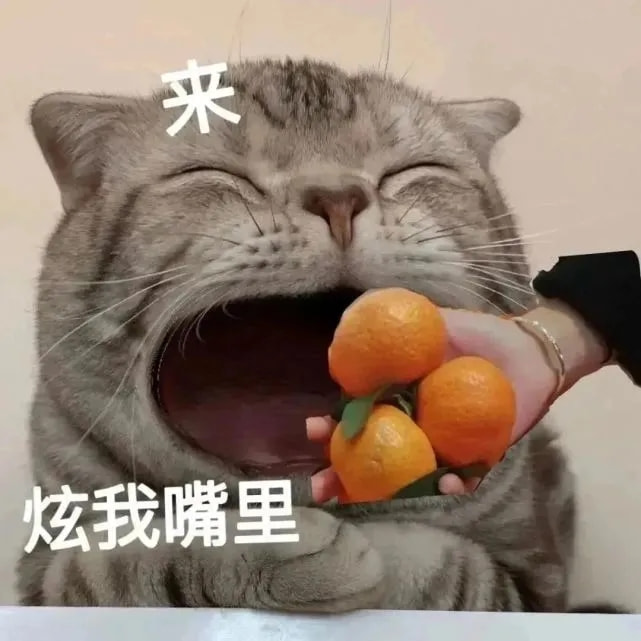 轻松一刻:弱智吧真是人才辈出啊…… 轻松一刻:弱智吧真是人才辈出啊……