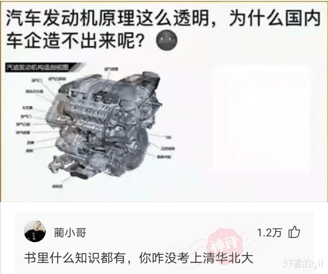 神回复:穷人突然有钱后,能挥霍到什么程度?评论区扎心了 神回复:穷人突然有钱后,能挥霍到什么程度?评论区扎心了