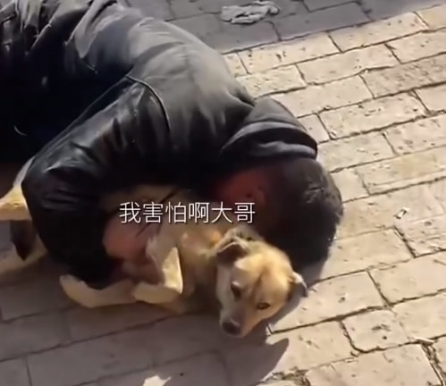 轻松一刻:他凭什么才工作1年,就升职董事长? 轻松一刻:他凭什么才工作1年,就升职董事长?