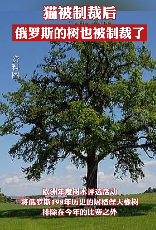 轻松一刻:他凭什么才工作1年,就升职董事长? 轻松一刻:他凭什么才工作1年,就升职董事长?