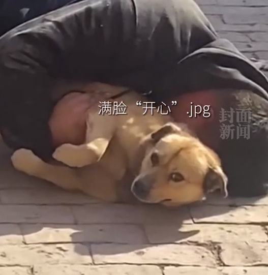 轻松一刻:他凭什么才工作1年,就升职董事长? 轻松一刻:他凭什么才工作1年,就升职董事长?