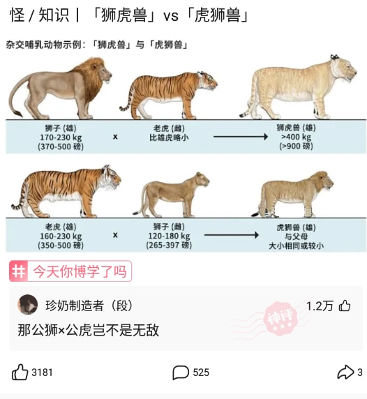 神回复:约会的成本有多高,单身表示很庆幸 神回复:约会的成本有多高,单身表示很庆幸