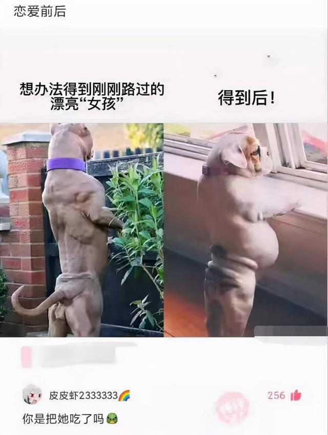 #搞笑 #沙雕 #神回复 #搞笑 #沙雕 #神回复