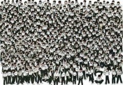 我用了20秒才找出裸体