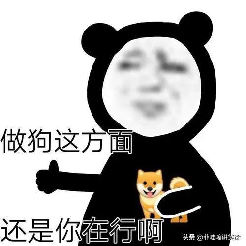 今天的笑话分享,你自己有没有老婆你不知道嘛哈哈哈 今天的笑话分享,你自己有没有老婆你不知道嘛哈哈哈