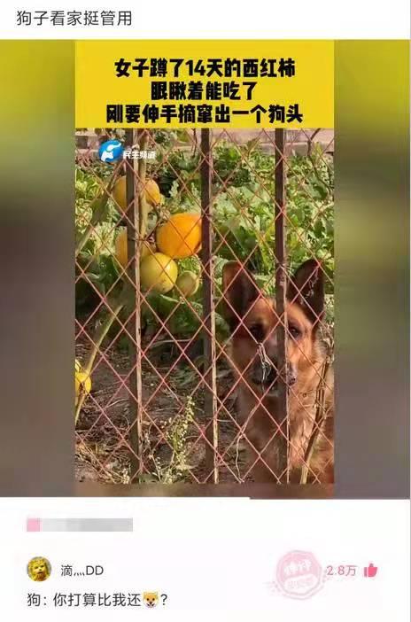 神回复:在路上捡100元和在路上捡100万有什么差距? 神回复:在路上捡100元和在路上捡100万有什么差距?