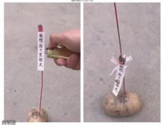这是天意吧 这是天意吧