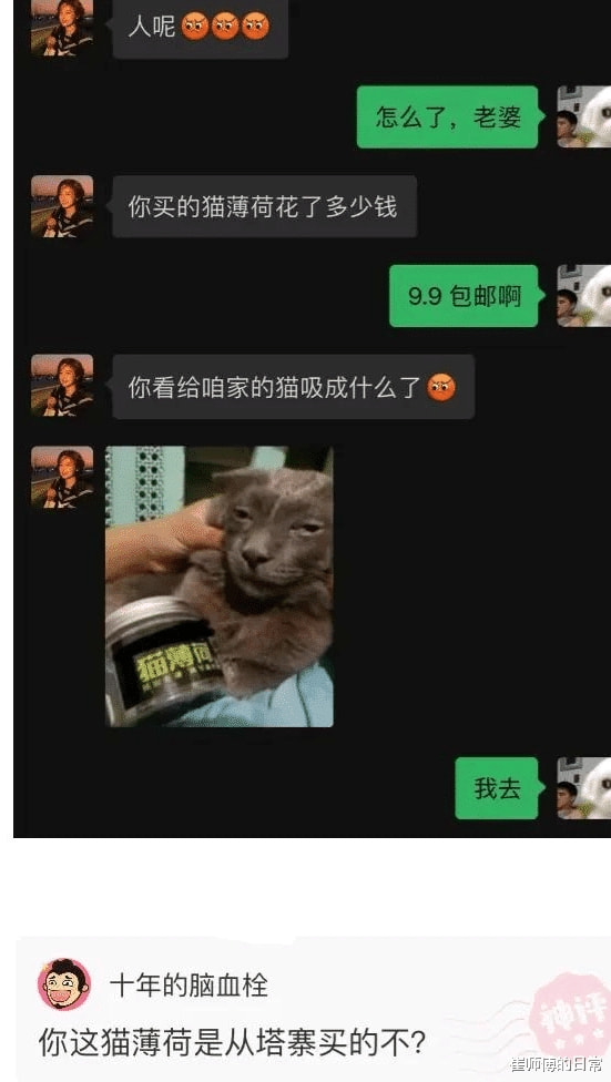 “绿头鱼这次火了,连央视这段都禁播了!” “绿头鱼这次火了,连央视这段都禁播了!”