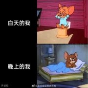 白天起不来，晚上睡不着