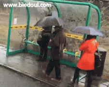 我就是想来躲躲雨! 我就是想来躲躲雨!