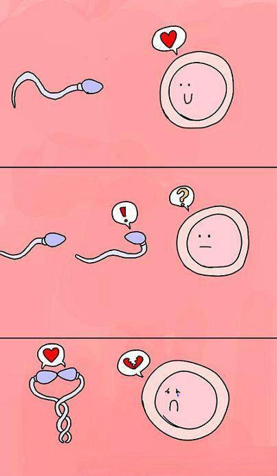 不孕症有可能是这样的