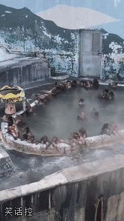你们泡澡的样子