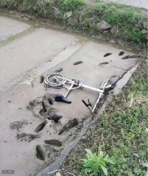 看得出来摔得很惨了 看得出来摔得很惨了