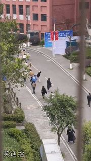 这是丧尸校园吧 这是丧尸校园吧